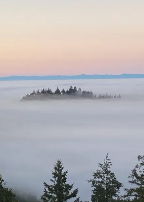 Sea of fog over the Santa Cruz Mountains