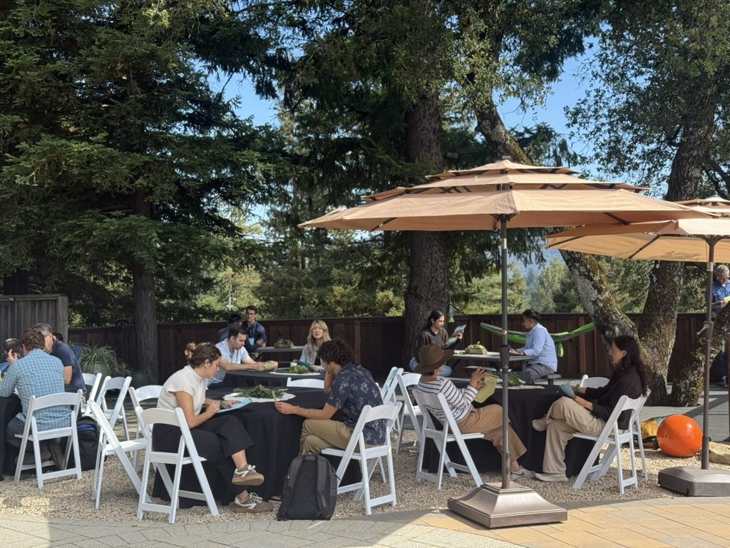 A team meeting under the umbrella with mountain views
